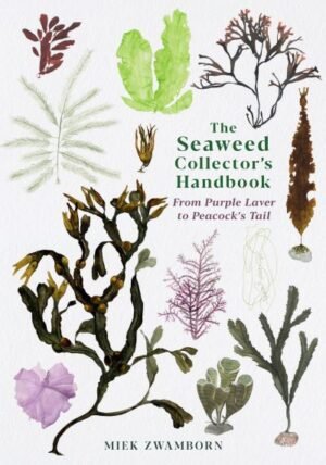 The seaweed collector's handbook
