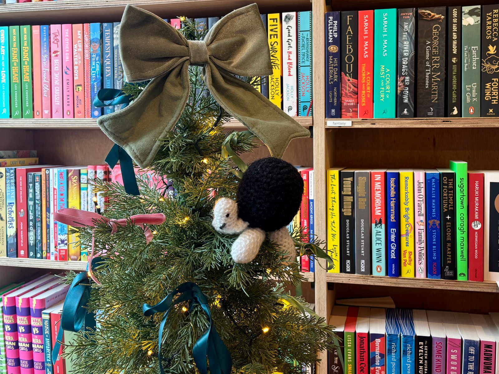 The magic of bookshops at Christmas