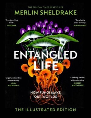 Entangled life