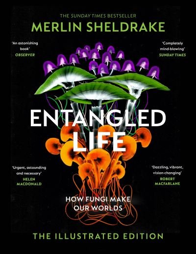 Entangled life