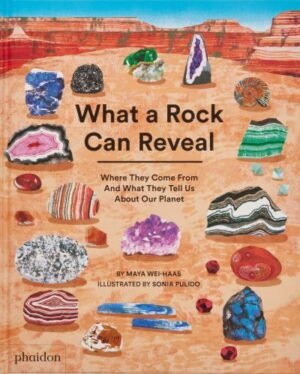 What a rock can reveal